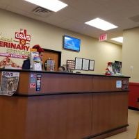 Greater Staten Island Veterinary Services ico