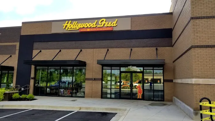 Hollywood Feed 5