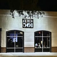 Fetch 501 ico
