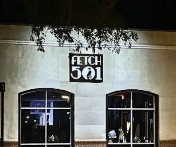 Fetch 501