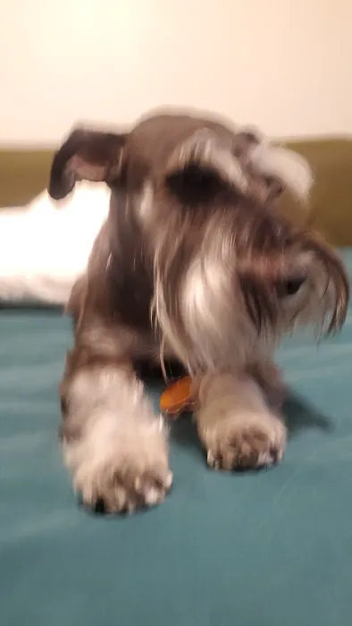Fetch 501 7