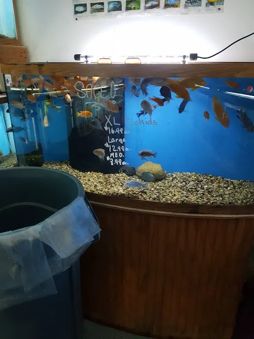 Bob's Tropical Fish 7
