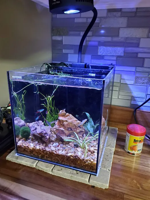 Bob's Tropical Fish 5