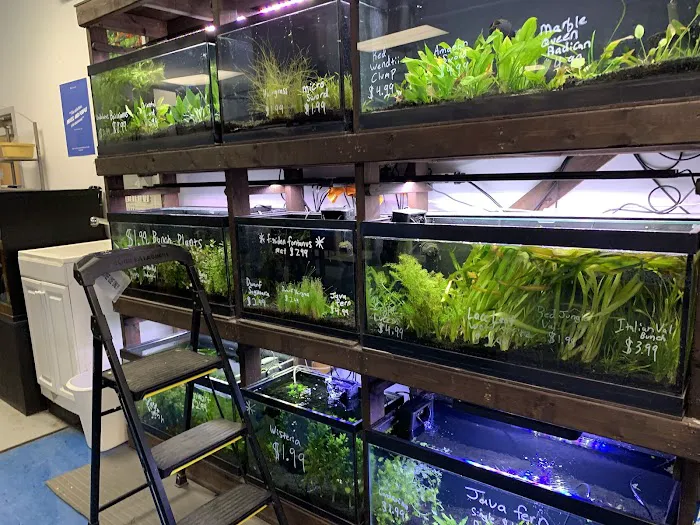 Bob's Tropical Fish 4