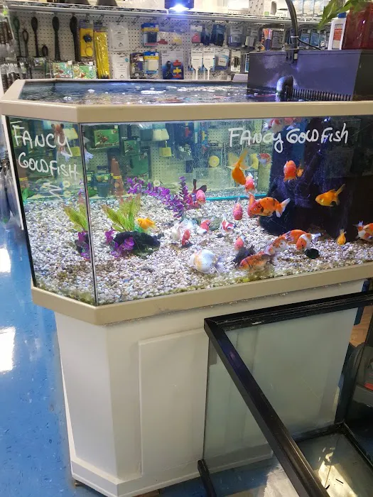 Bob's Tropical Fish 10