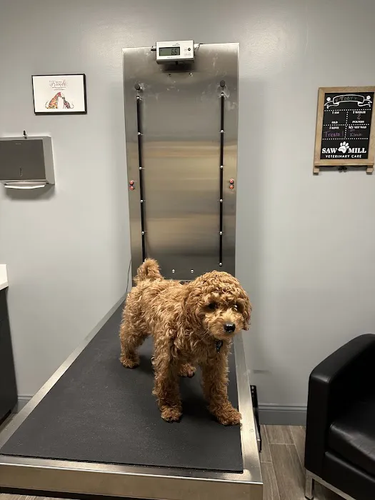 Saw Mill Veterinary Care 10