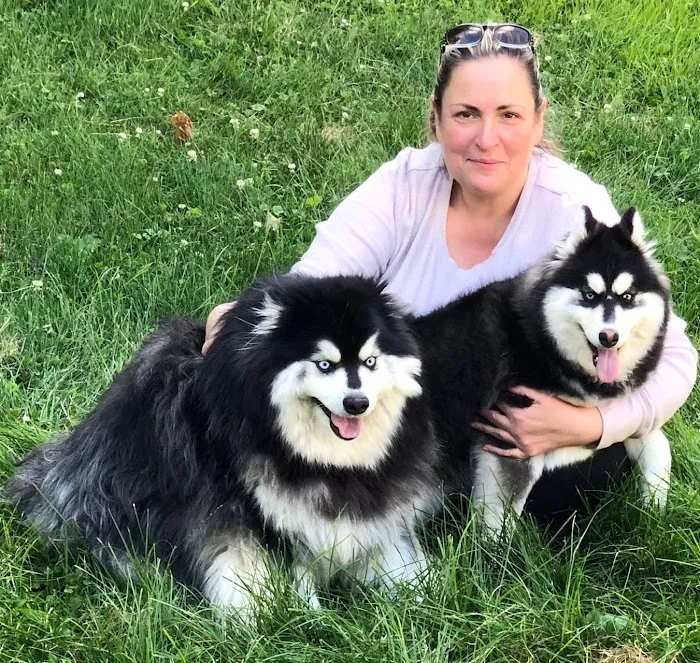 Saw Mill Veterinary Care 1