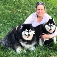 Saw Mill Veterinary Care ico