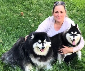 Saw Mill Veterinary Care
