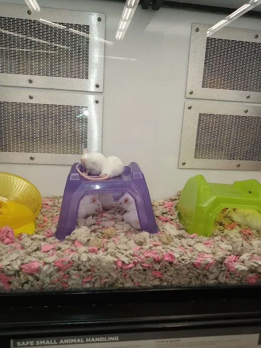 Petco 9