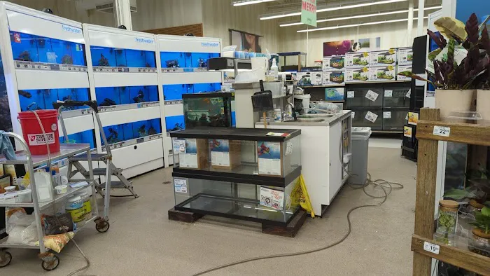 Petco 2