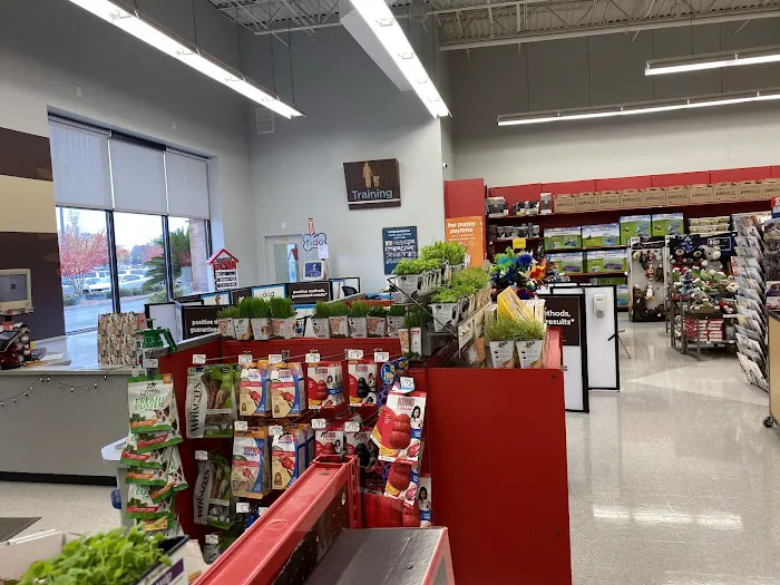 Petco 5