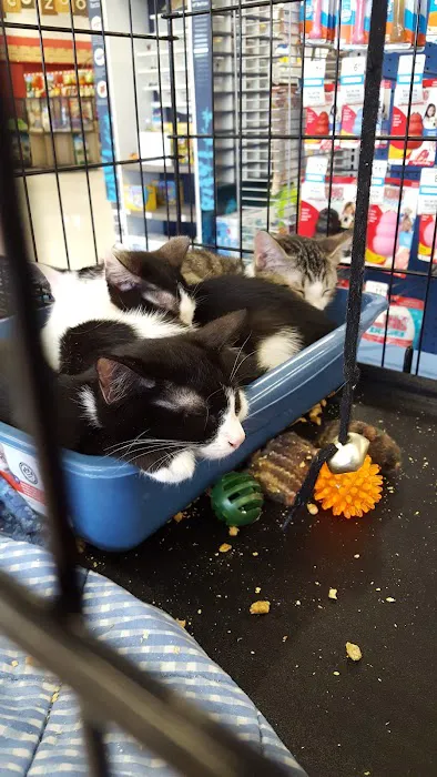 Petco 3