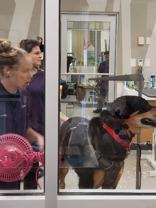 Petco 4