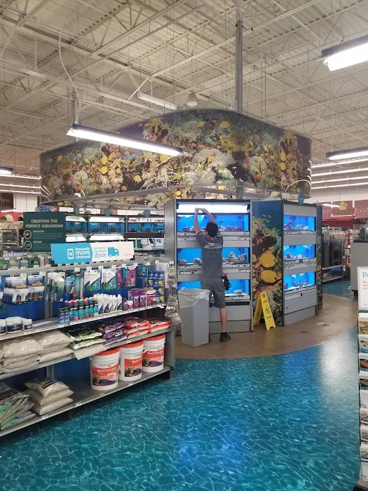 Petco 10