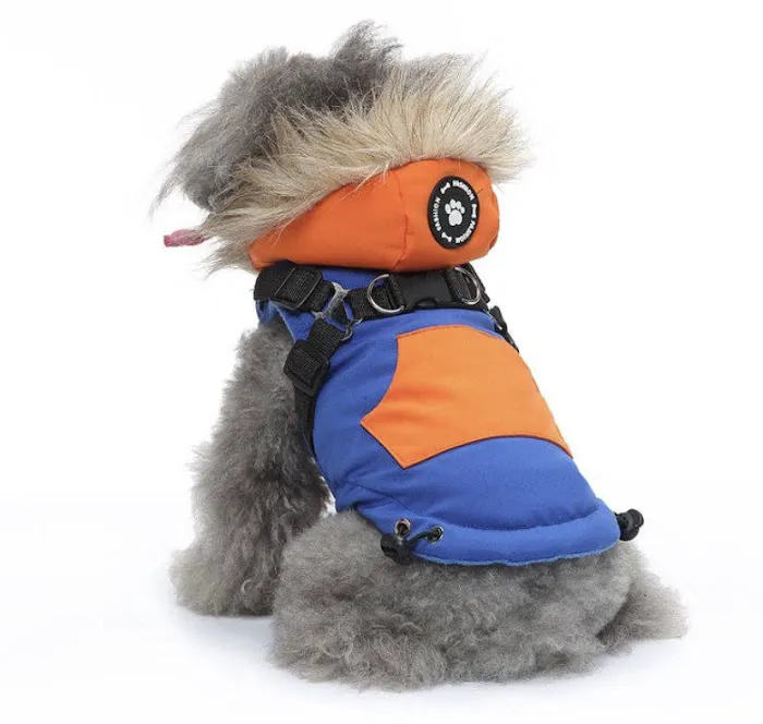 Porsha's Paws Dog Boutique 5