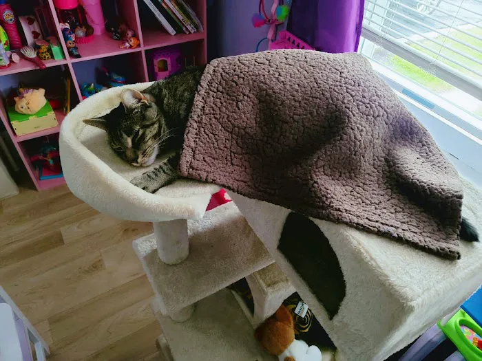 Thornwood Animal Hospital 10