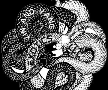 Yin and Yang Exotics