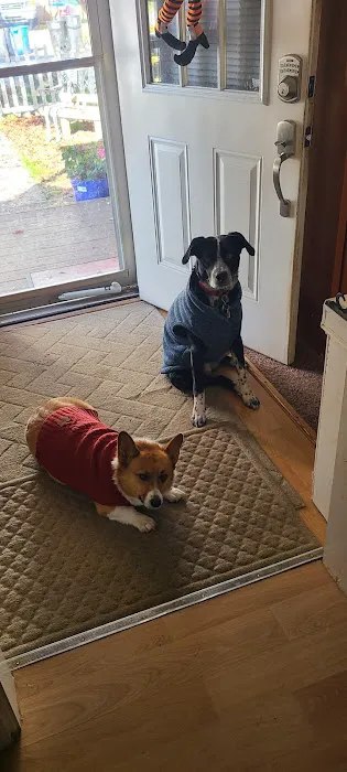Valhalla Animal Hospital 5