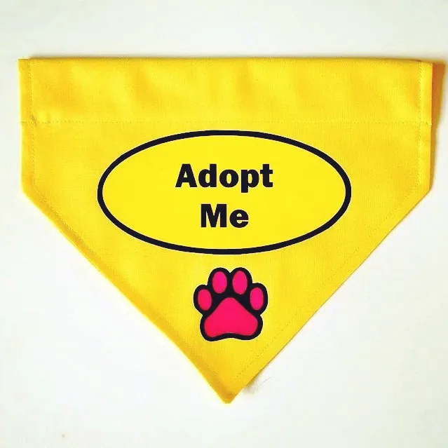 DogGone Cute Apparel and Accessories 2