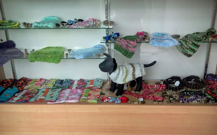 DogGone Cute Apparel and Accessories 4