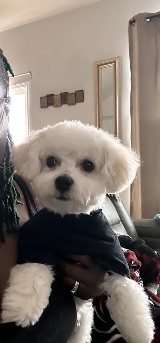 Petco 3