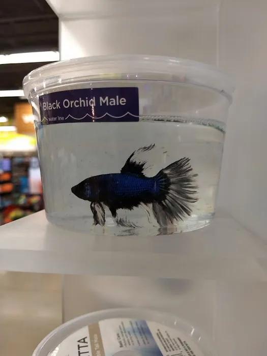 Petco 10