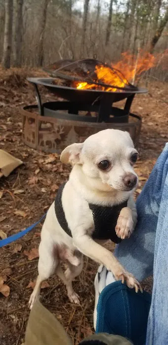 Petco 2