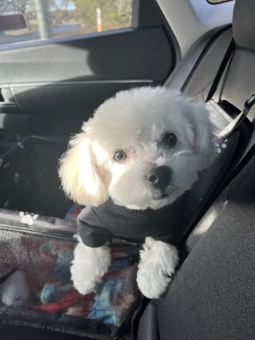 Petco 5