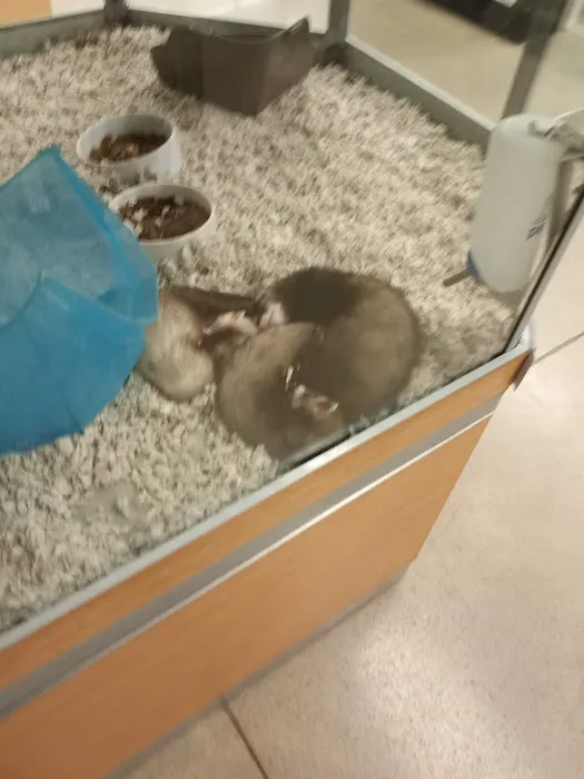Petco 9
