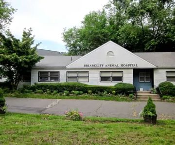 Briarcliff Animal Hospital