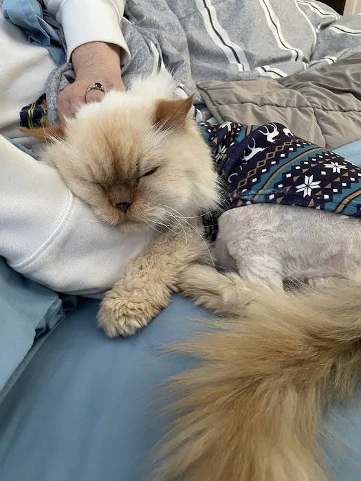 Pleasantville Animal Hospital 10