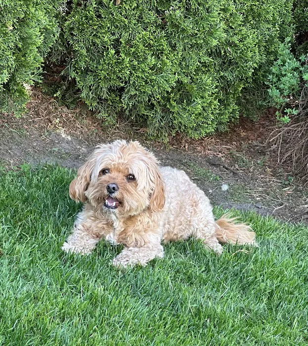 Pleasantville Animal Hospital 8