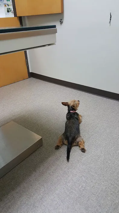 Rockland Veterinary Care - North Rockland 2