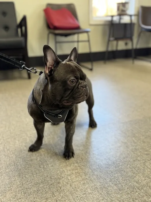 Rockland Veterinary Care - North Rockland 3