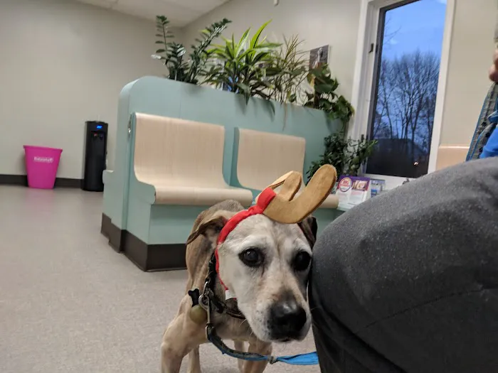 Rockland Veterinary Care - North Rockland 1