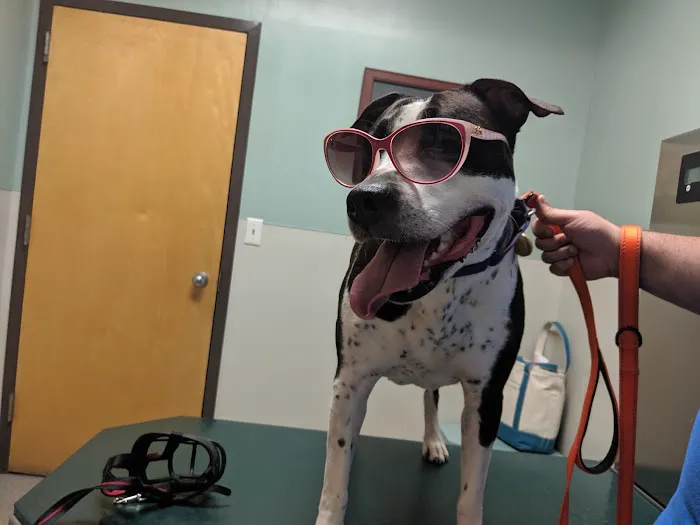 Rockland Veterinary Care - North Rockland 4