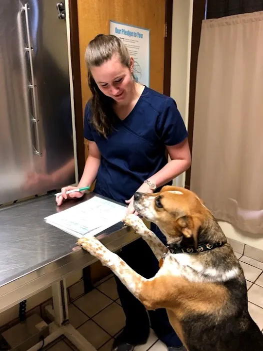 Quality Pet Care, LLC 9