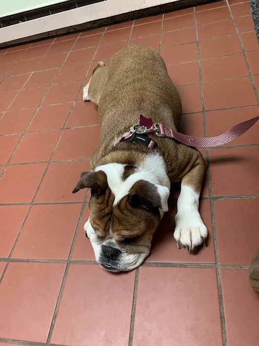Quality Pet Care, LLC 2