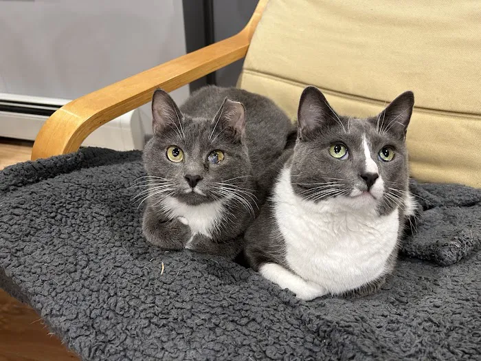 Quality Pet Care, LLC 5