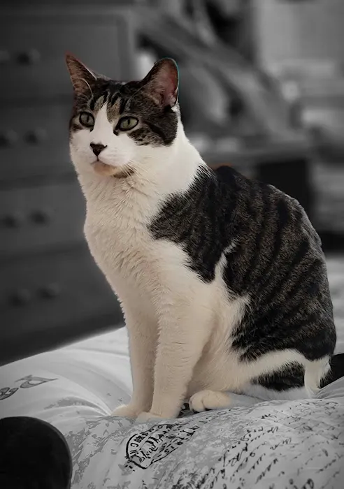 Banfield Pet Hospital 5