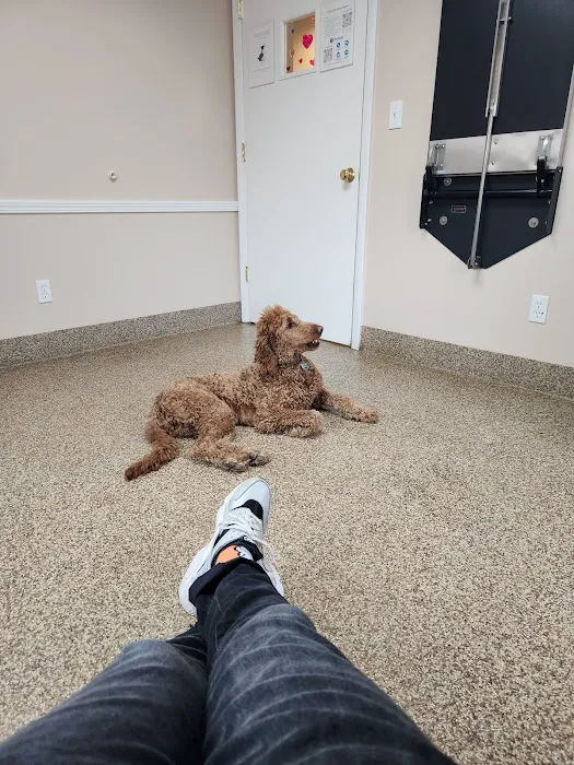 North Westchester Veterinary Office 5