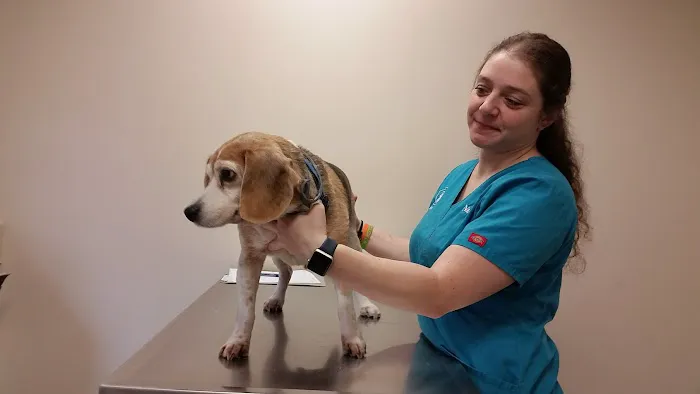 North Westchester Veterinary Office 4