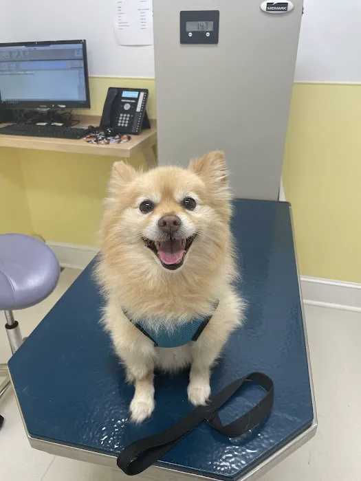 Peekskill-Cortlandt Animal Hospital 5