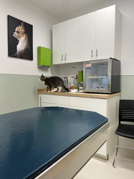 Peekskill-Cortlandt Animal Hospital 3