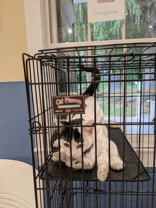 Peekskill-Cortlandt Animal Hospital 9