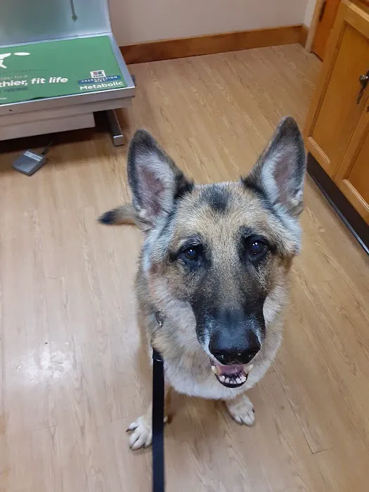 Companion Pet Hospital 6