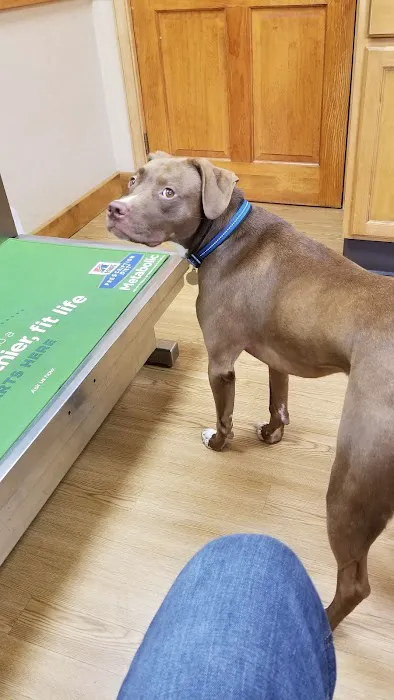 Companion Pet Hospital 8