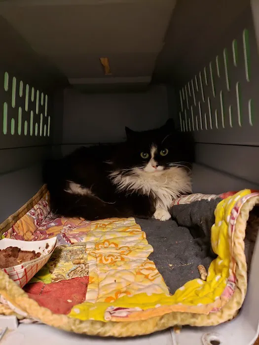 Companion Pet Hospital 2