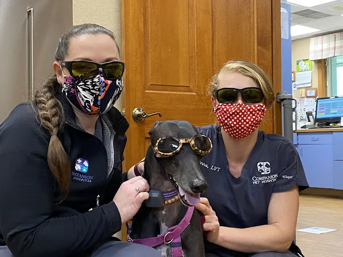 Companion Pet Hospital of Fishkill: Selzner Alisha DVM 3